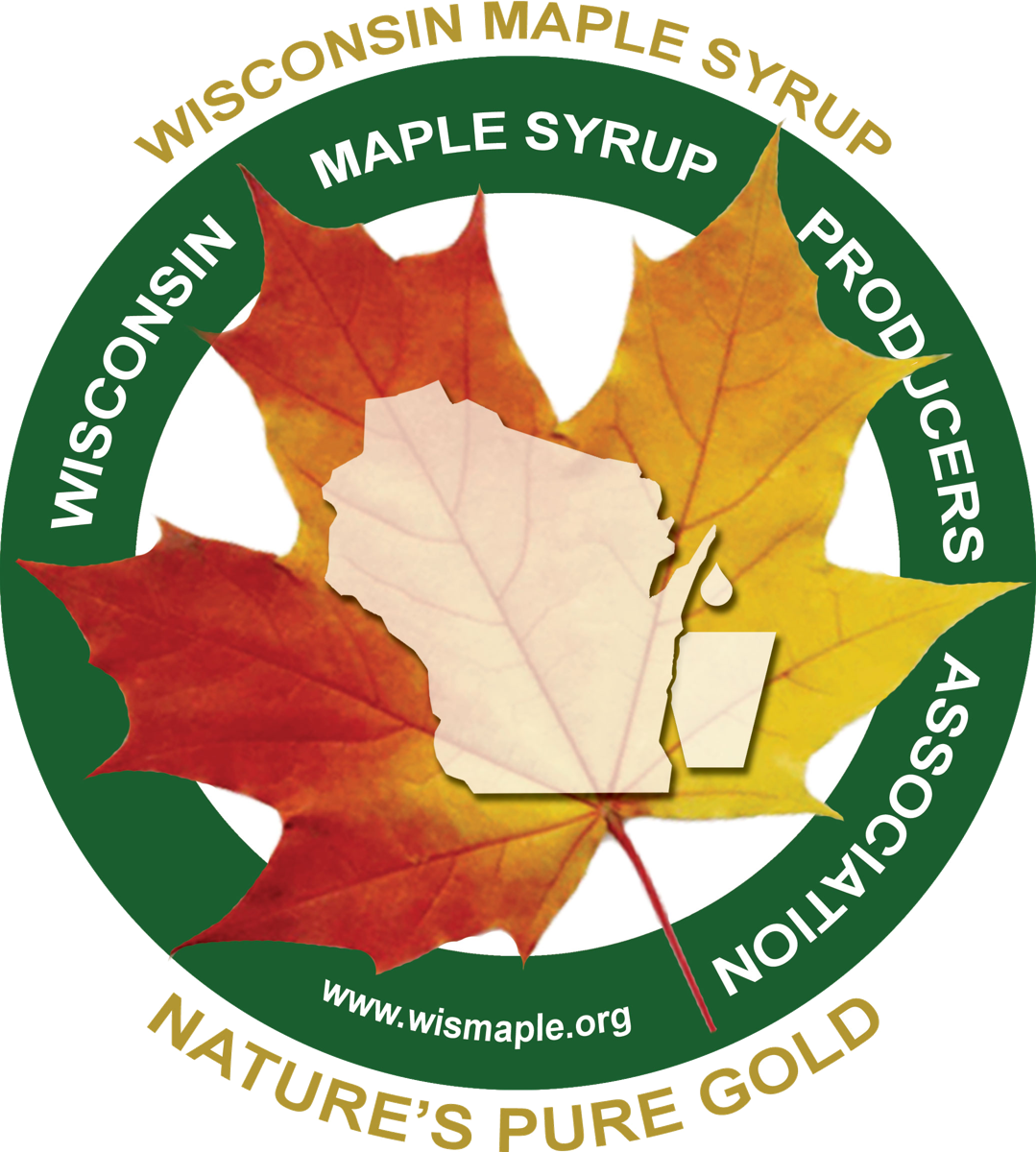 wmspa logo transparent